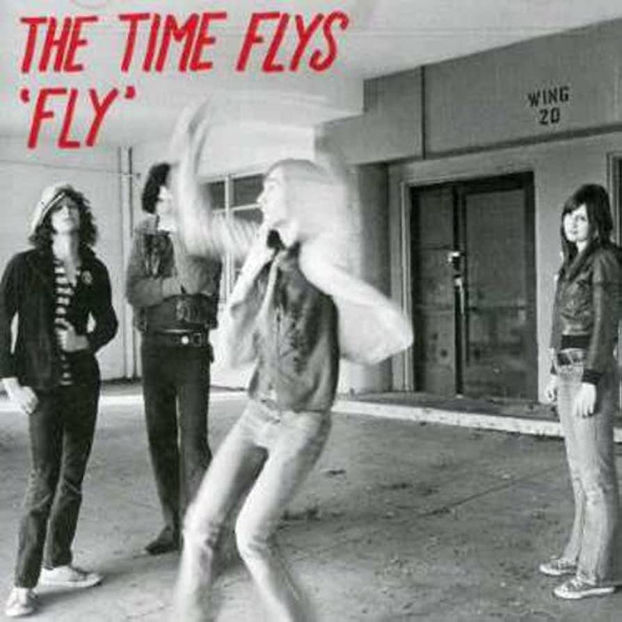 The Time Flys - Fly LP