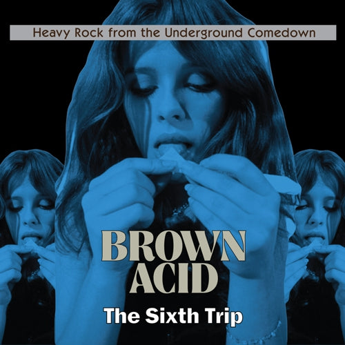 Various - Brown Acid: The Sixth Trip LP