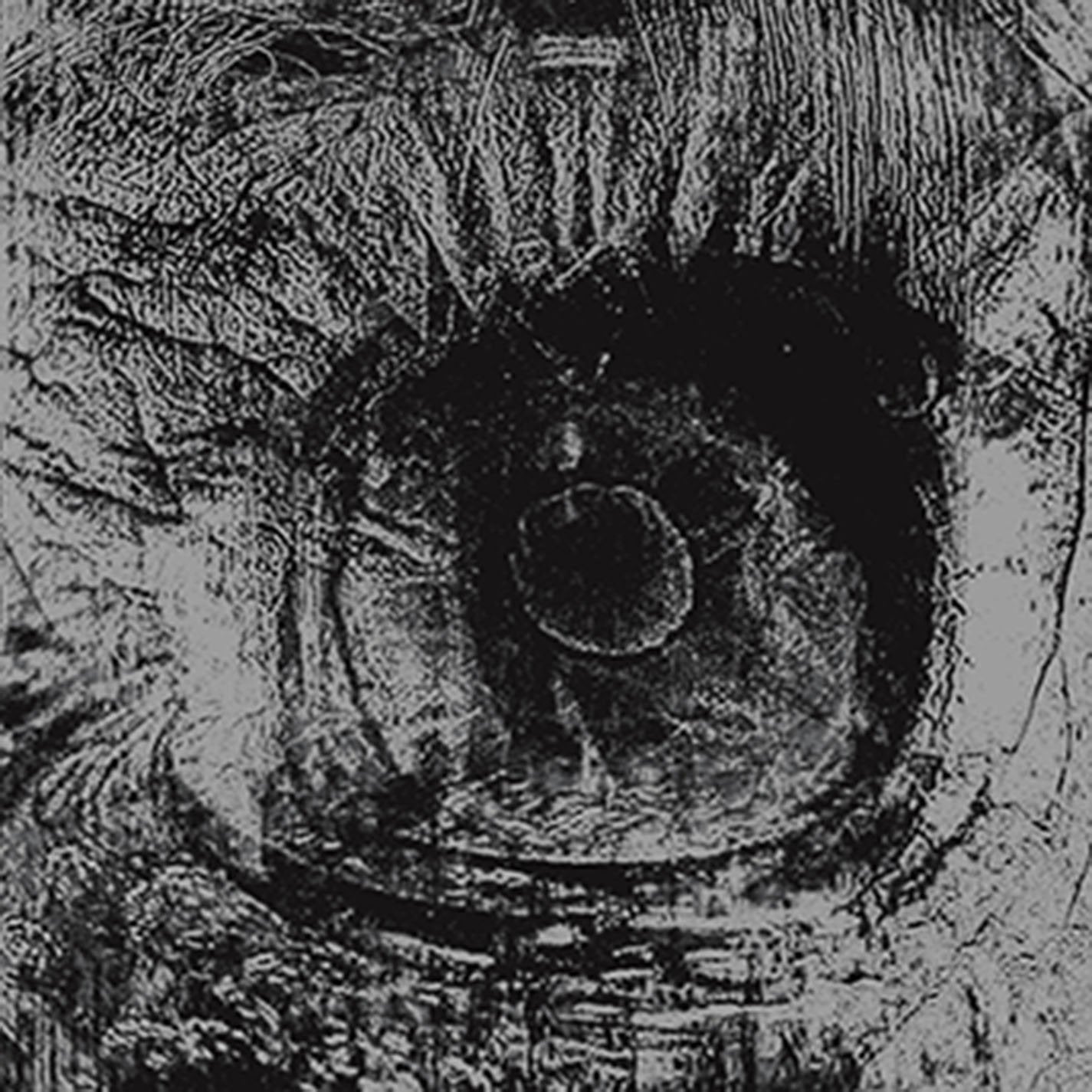 The Flaming Lips - 7 Skies H3 LP