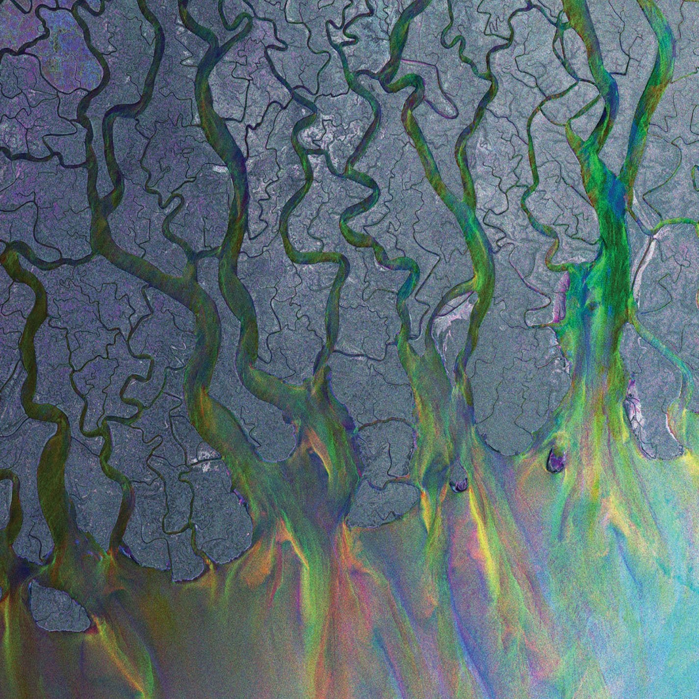Alt-J - An Awesome Wave LP