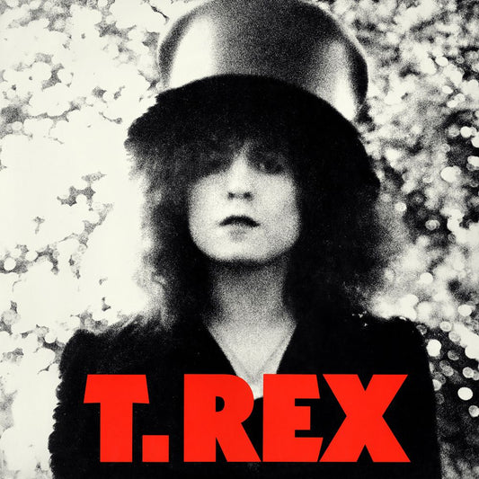 T. Rex - The Slider: Deluxe Edition 2LP