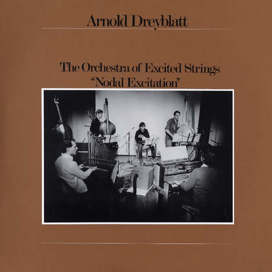 Arnold Dreyblatt & The Orchestra of Excited Strings - Nodal Excitation LP