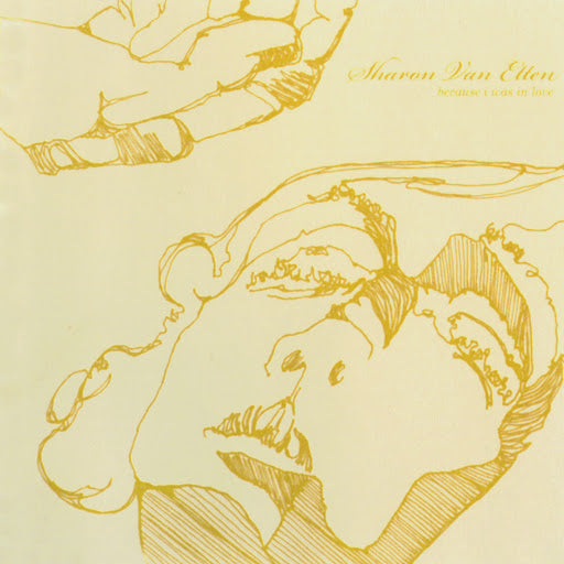 Sharon Van Etten - Because I Was in Love LP