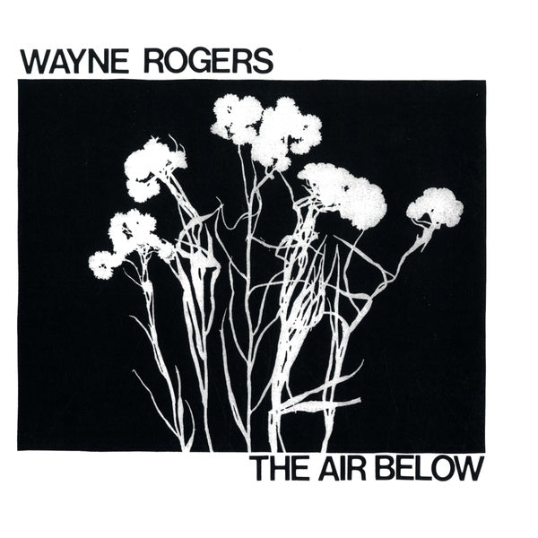 Wayne Rogers - The Air Below LP