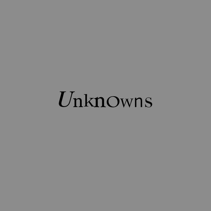 Dead C - Unknowns LP