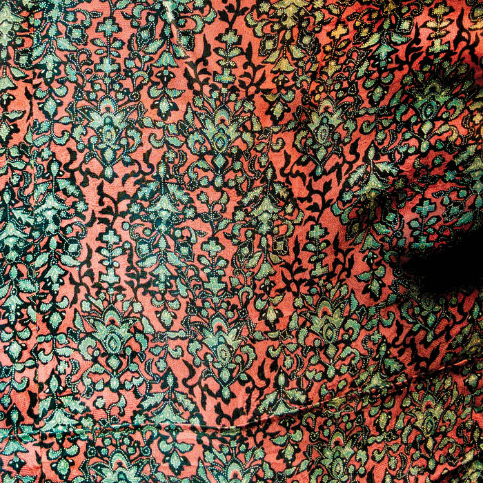 Jaimie Branch - FLY or DIE LIVE 2LP