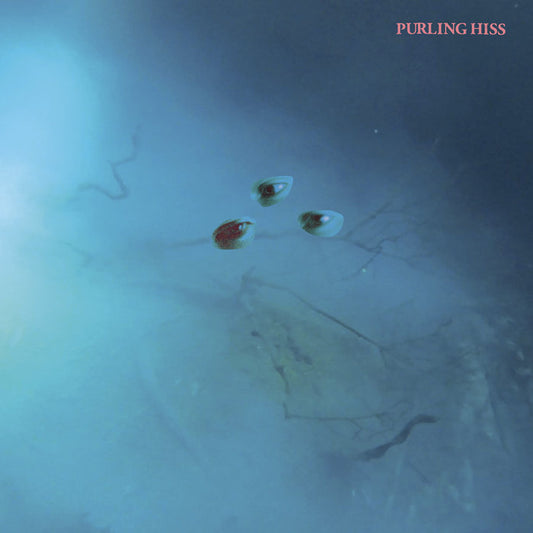 Purling Hiss - High Bias LP
