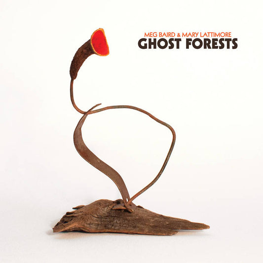 Meg Baird & Mary Lattimore - Ghost Forests LP