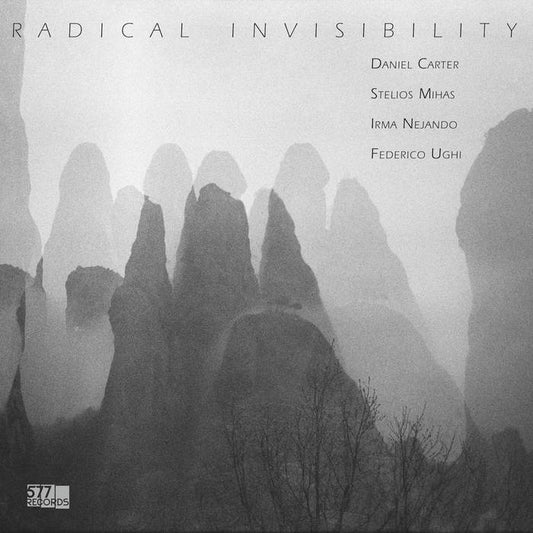 Daniel Carter, Stelios Mihas, Irma Nejando, Federico Ughi - Radical Invisibility LP