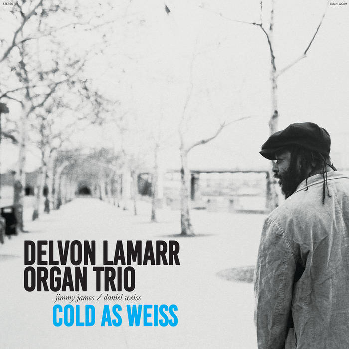 Delvon Lamarr Organ Trio - Cold As Weiss LP