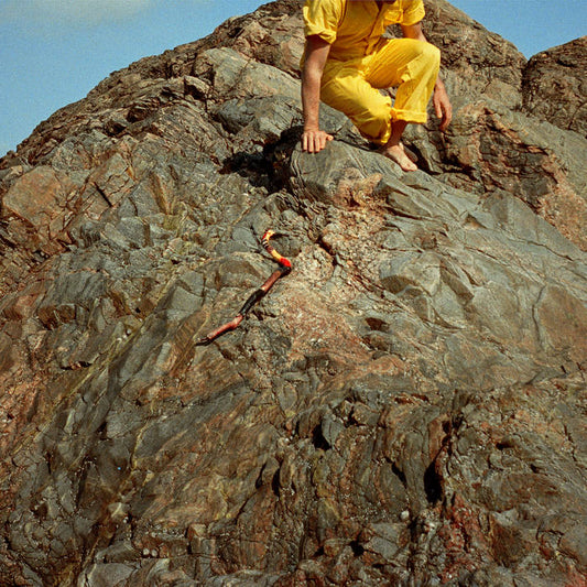 Roddy Womble - Lo! Soul LP