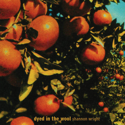 Shannon Wright - Dyed In the Wool LP
