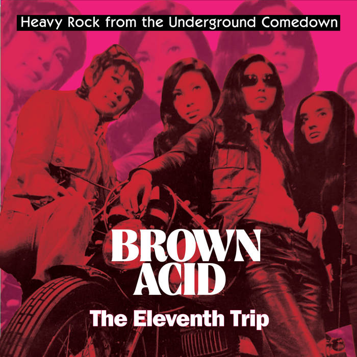 Various - Brown Acid: The Eleventh Trip LP
