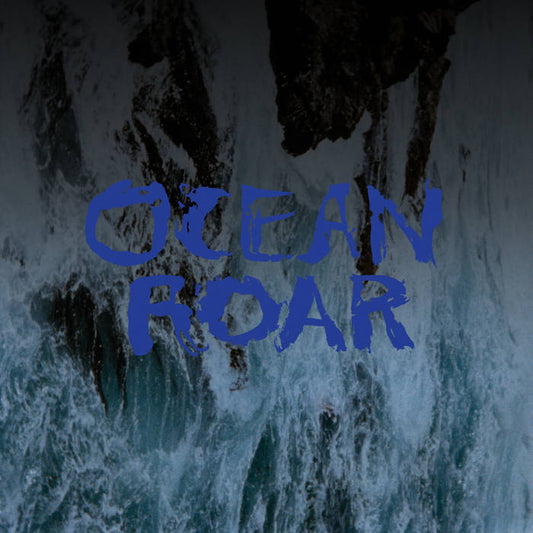 Mount Eerie - Ocean Roar LP
