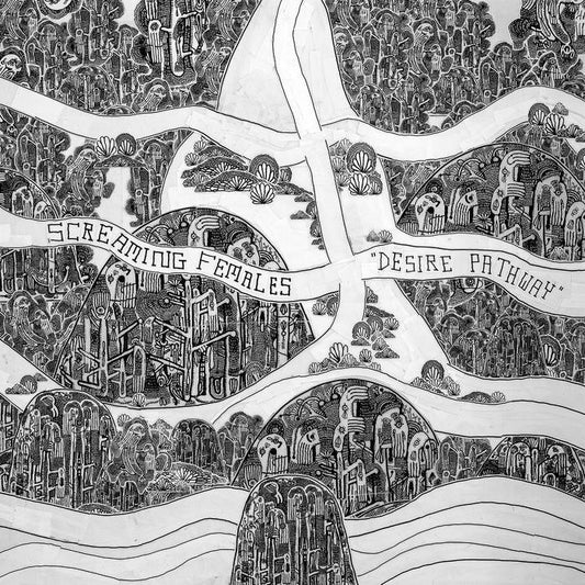 Screaming Females - Desire Pathway LP