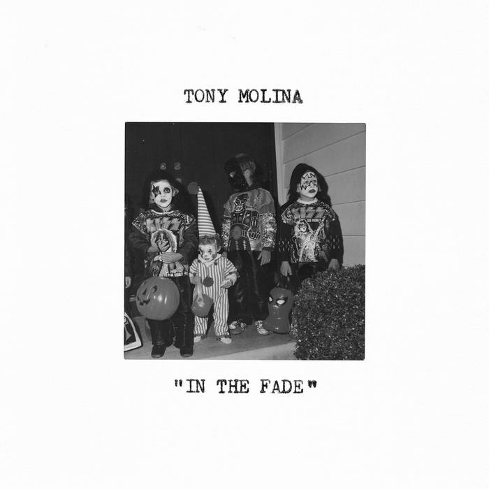 Tony Molina - In the Fade LP