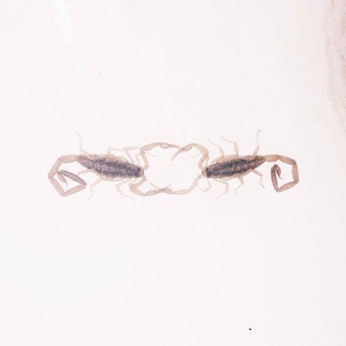 Cross Record - Wabi-Sabi LP