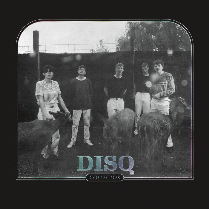 Disq - Collector LP