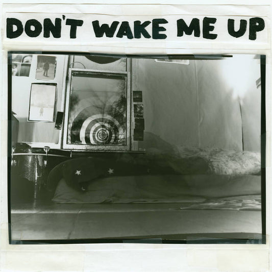 The Microphones - Don't Wake Me Up LP