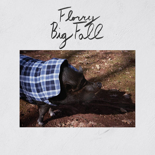 Florry - Big Fall LP