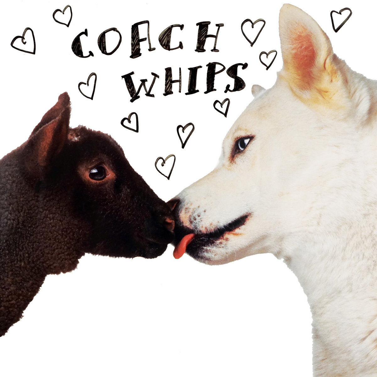 Coachwhips - Bangers vs. Fuckers LP