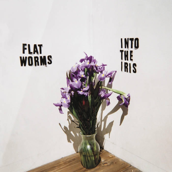 Flat Worms - Into the Iris LP