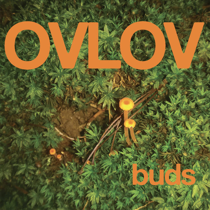 Ovlov - Buds LP