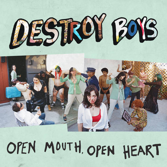 Destroy Boys - Open Mouth, Open Heart LP
