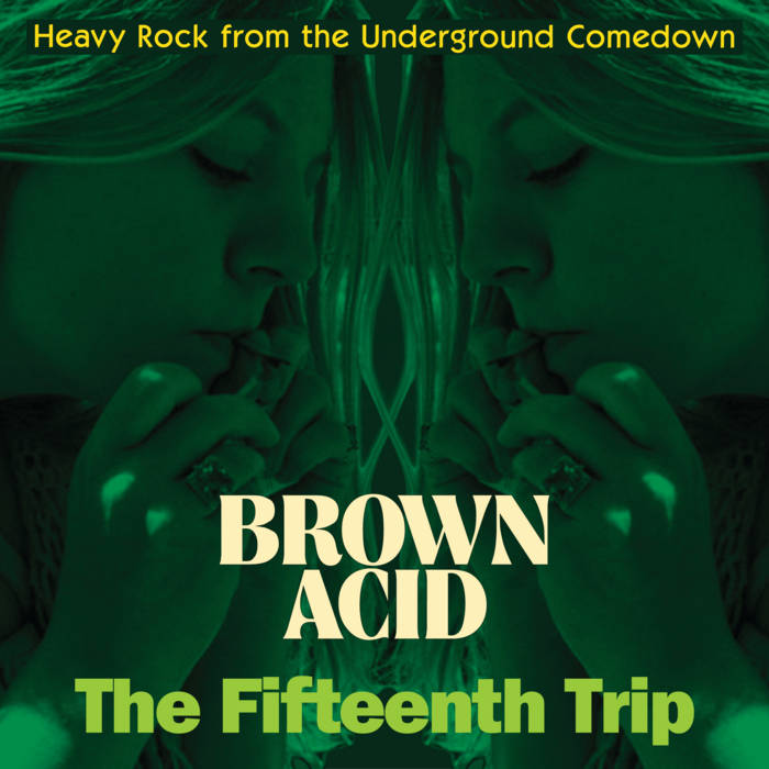Various - Brown Acid: The Fifteenth Trip LP