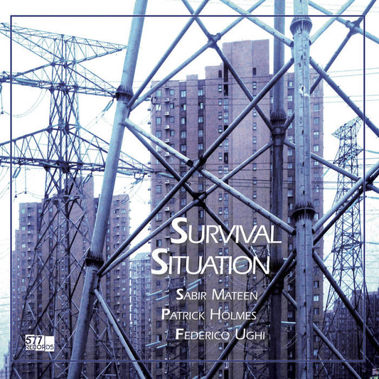 Sabir Mateen, Patrick Holmes, Federico Ughi - Survival Situation LP
