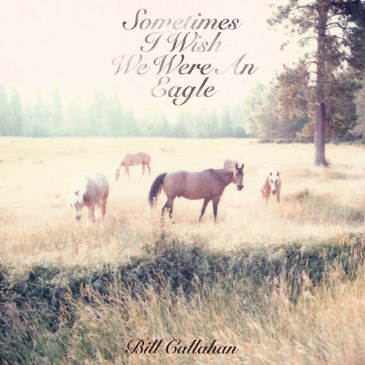 Bill Callahan - Sometimes I Wish We Were An Eagle LP