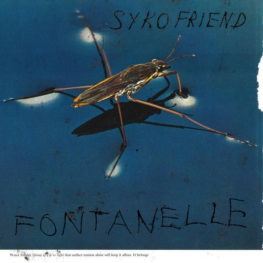 Syko Friend - Fontanelle LP