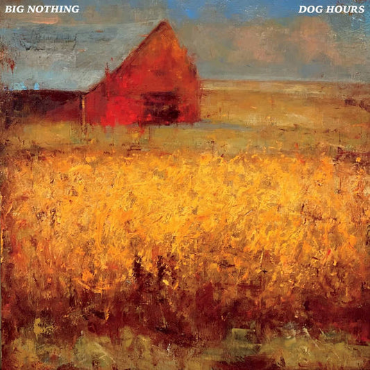 Big Nothing - Dog Hours LP