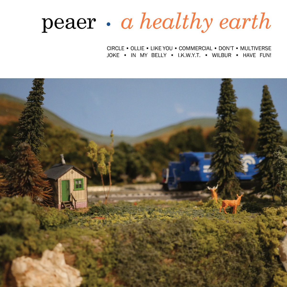Peaer - A Healthy Earth LP
