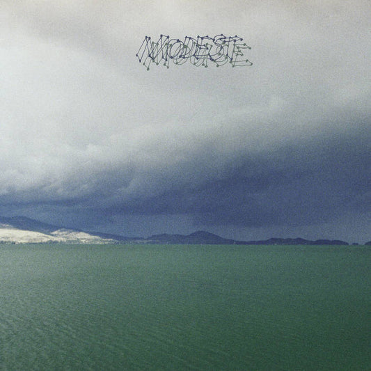 Modest Mouse - The Fruit That Ate Itself LP
