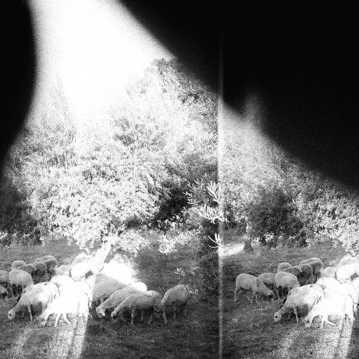 Godspeed You! Black Emperor - Asunder, Sweet and Other Distress LP