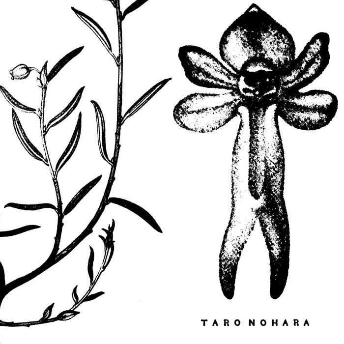Taro Nohara - Poly-Time Soundscapes / Forest Of The Shrine LP