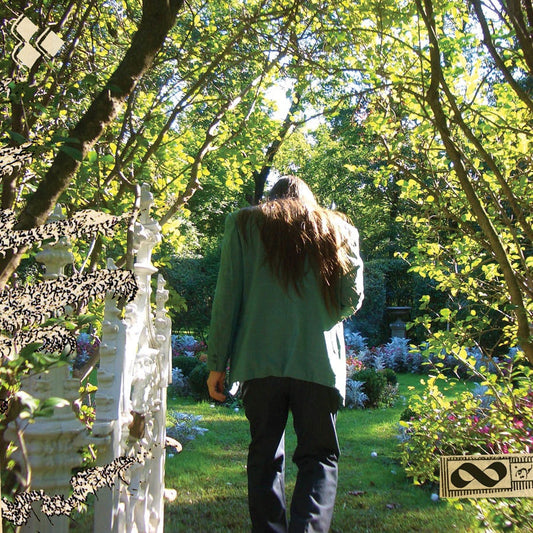 Endless Boogie - Focus Level 2LP