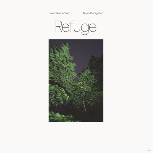 Devendra Banhart & Noah Georgeson - Refuge 2LP (Ltd Blue Seaglass Wave Vinyl)