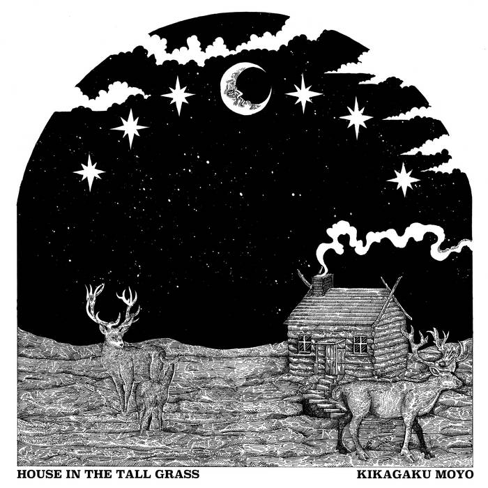 Kikagaku Moyo - House In The Tall Grass LP