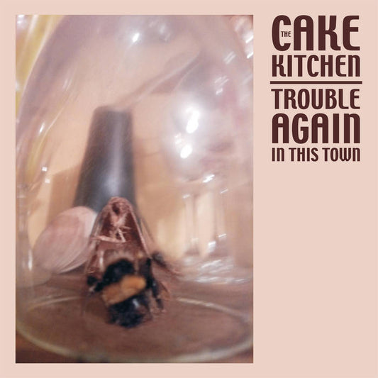 The Cakekitchen - Trouble Again in This Town LP
