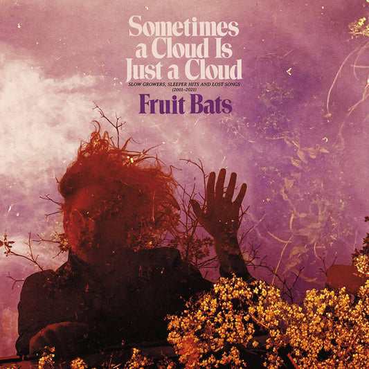 Fruit Bats - Sometimes a Cloud Is Just a Cloud: Slow Growers, Sleeper Hits and Lost Songs (2001–2021) 2LP