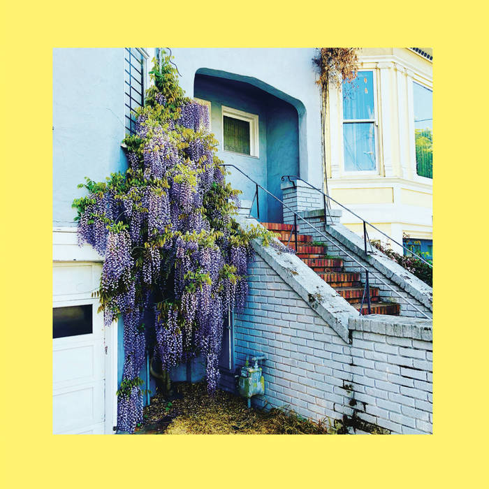 The Reds, Pinks & Purples - They Only Wanted Your Soul LP