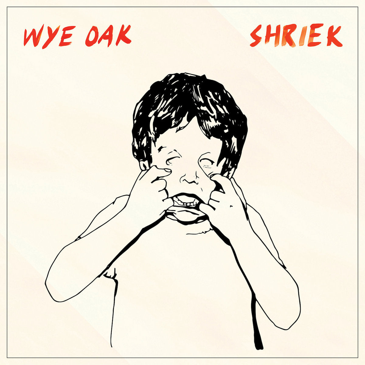 Wye Oak - Shriek LP