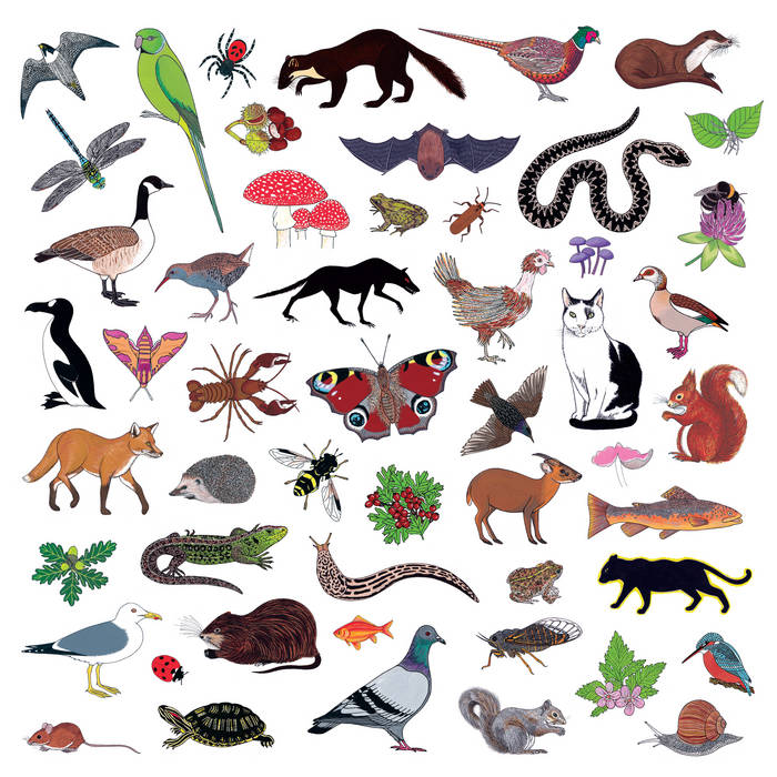 Modern Nature - Island of Noise LP