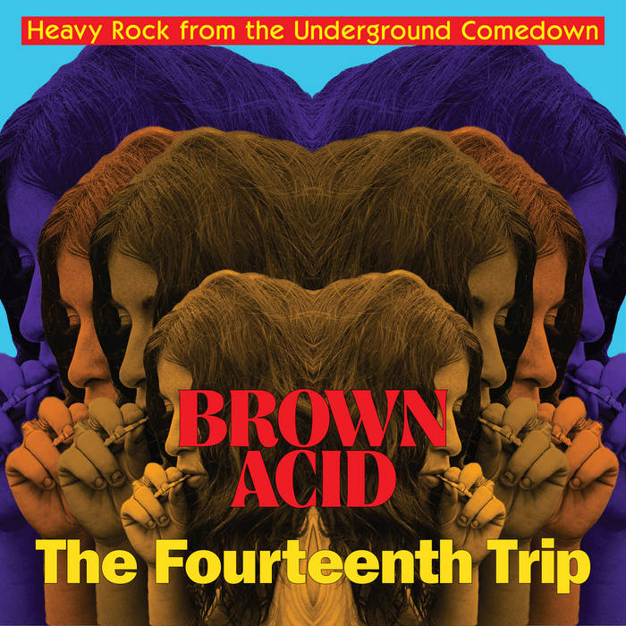 Various - Brown Acid: The Fourteenth Trip LP