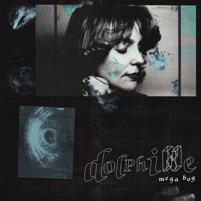 Mega Bog - Dolphine LP (Ltd Clear Vinyl Edition)