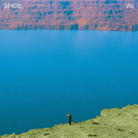 Spice - Viv LP