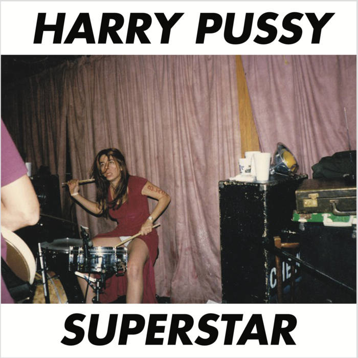 Harry Pussy - Superstar LP