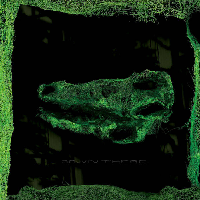 Avey Tare - Down There LP